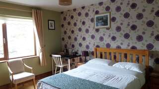 Отели типа «постель и завтрак» Rossroe Lodge B&B Canower Двухместный номер Делюкс с 1 кроватью и душем-3